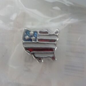 USA Shaped Charm